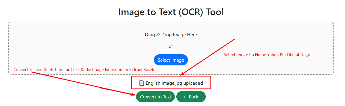 image upload hone ke baad ocr tool mein file name aur convert to text button dikhta hai